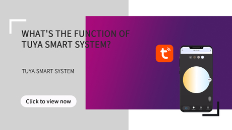 Whats the function of tuya smart system.jpg